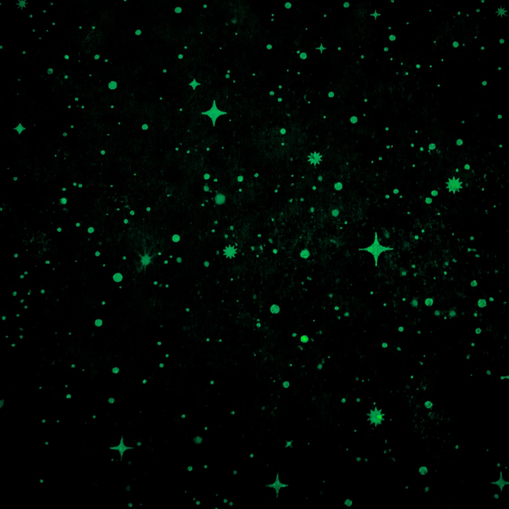 Обои Палитра 72368-41 Home Color Universe