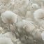 Обои Палитра 72543-72 Cottonia