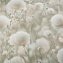 Обои Палитра 72543-72 Cottonia