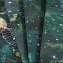 Обои Артекс 10842-03 Космос-уни